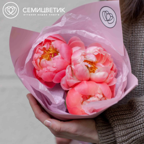 Букет из 3 коралловых пионов Coral Sunset Premium в розовой пленке