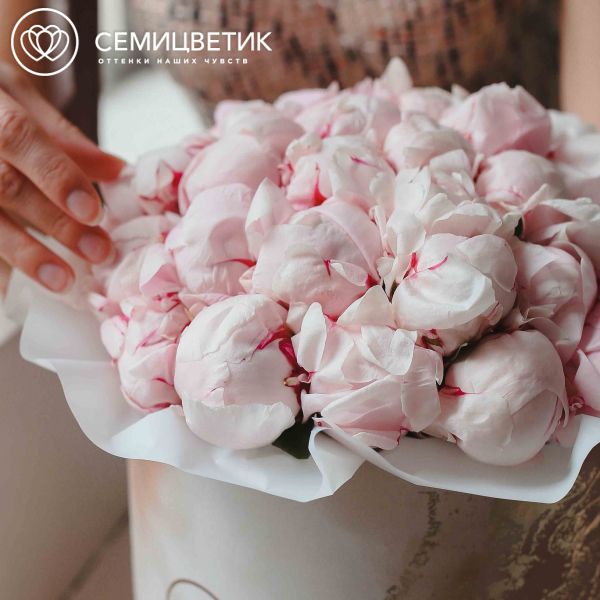Букет в бежевой шляпной коробке Amour из 51 розового пиона Standart Plus