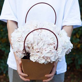 Композиция из 5 розовых гортензий в сумочке