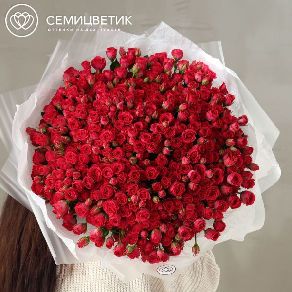 Букет из 101 малиновой кустовой розы 40-50 см (Россия)