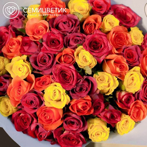Букет из 51 розы 35-40 см микс (Кения) в голубой пленке