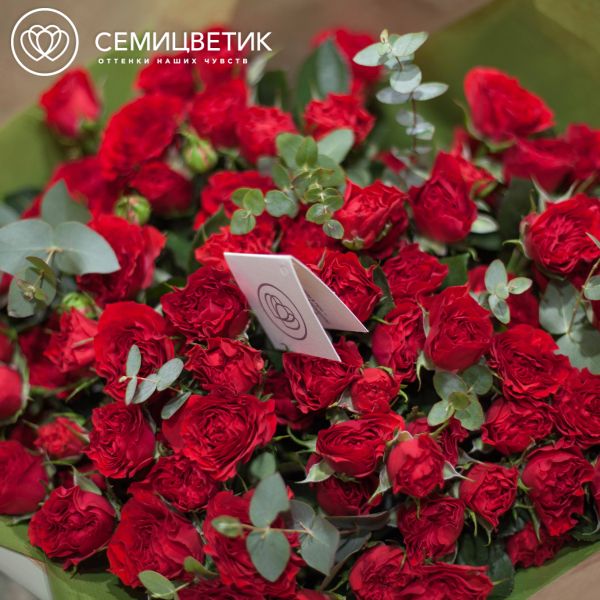 Букет из 25 красных кустовых пионовидных роз Bella Lindo Brick 40 см (Кения)