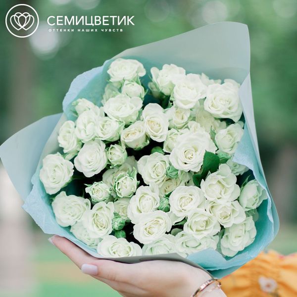Букет из 15 белых кустовых роз 40 см в голубой пленке