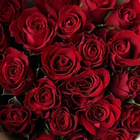 Букет из 25 красных роз 35-40 см (Кения) в кремовой пленке