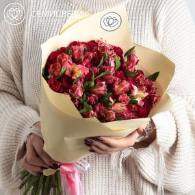 Букет из 25 красных роз (Кения) и 7 красных альстромерий в кремовой пленке