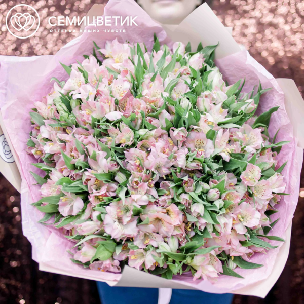 Букет из 51 альстромерии в розовых тонах в кремовой пленке