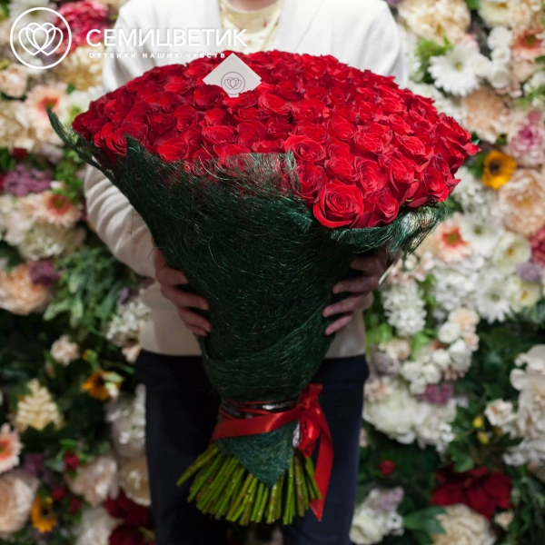 Букет из 151 красной розы Freedom 60 см (Эквадор) в упаковке