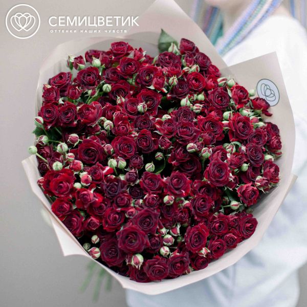 Букет из 25 красных кустовых роз 70 см (Россия)