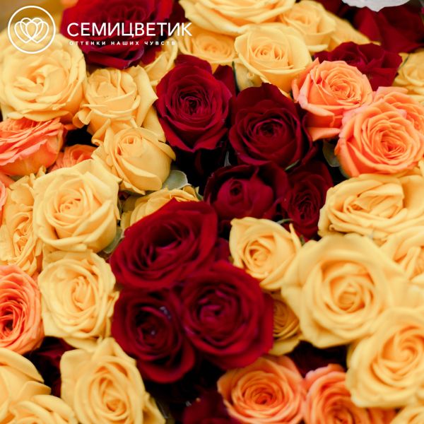 Букет из 51 красной, оранжевой и желтой кустовой розы 40 см (Эквадор)