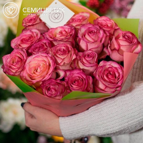 Букет из 15 кремовых с розовой каймой роз Carrousel 50 см (Эквадор)