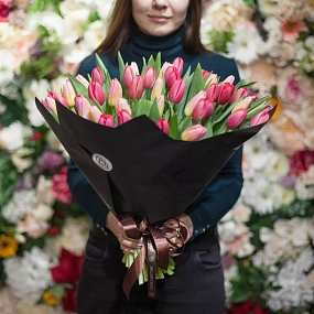 Букет из 51 красного и розового тюльпана 40 см в бордовой пленке