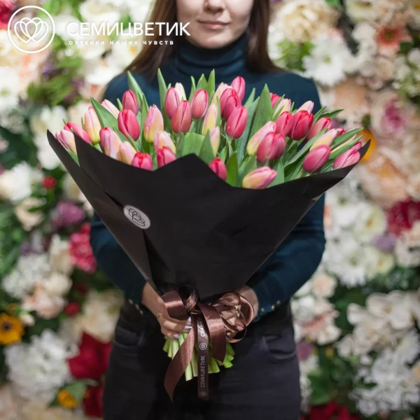 Букет из 51 красного и розового тюльпана 40 см в бордовой пленке