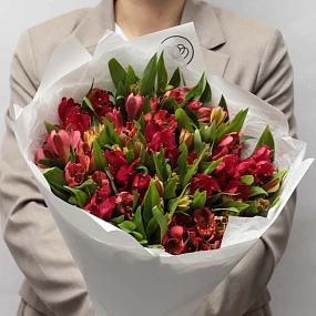 Букет из 25 красных и оранжевых альстромерий в белой пленке