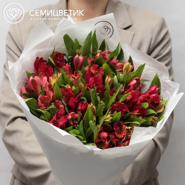 Букет из 25 красных и оранжевых альстромерий в белой пленке