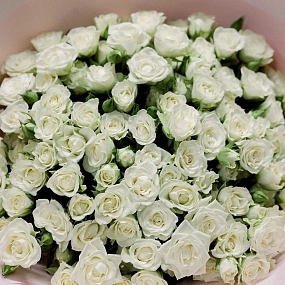 Монобукет  из 25 белых кустовых роз 40 см (Кения)