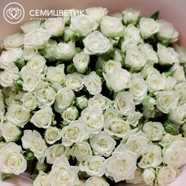 Букет из 25 белых кустовых роз 40 см (Кения)