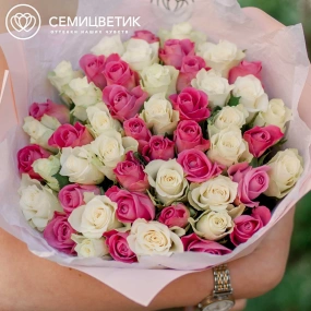 Букет из 51 белой и розовой розы 35-40 см (Кения) в кремовой пленке
