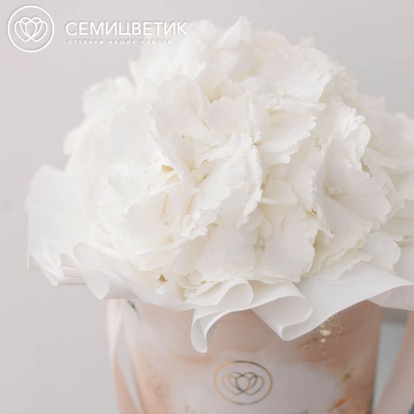 Букет в бежевой шляпной коробке Amour Mini из 3 белых гортензий