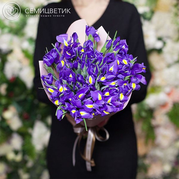 Букет из 25 синих ирисов в розовой пленке