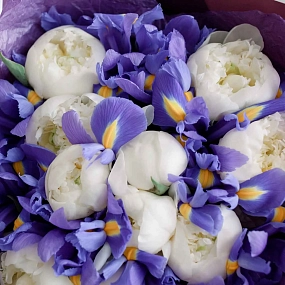 Букет из 10 белых пионов Premium и 15 синих ирисов в сиреневой пленке