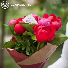 Букет из 7 пионов Old Faithful и Coral Sunset Standart в упаковке