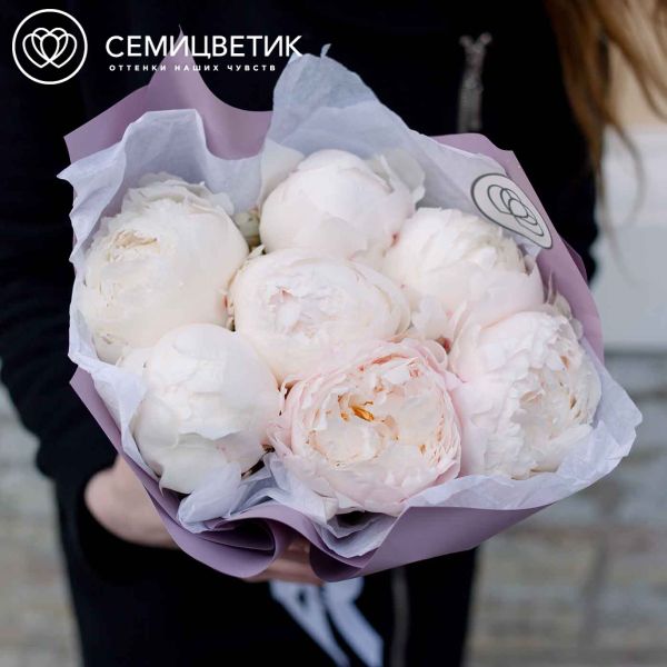 Букет из 7 белых пионов Premium