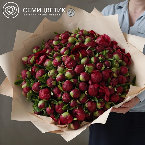 Букет из 101 бордового пиона Premium