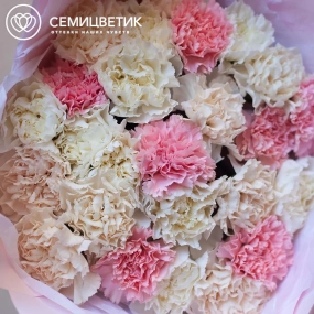 Букет из 25 розовых, белых и кремовых гвоздик в розовой пленке