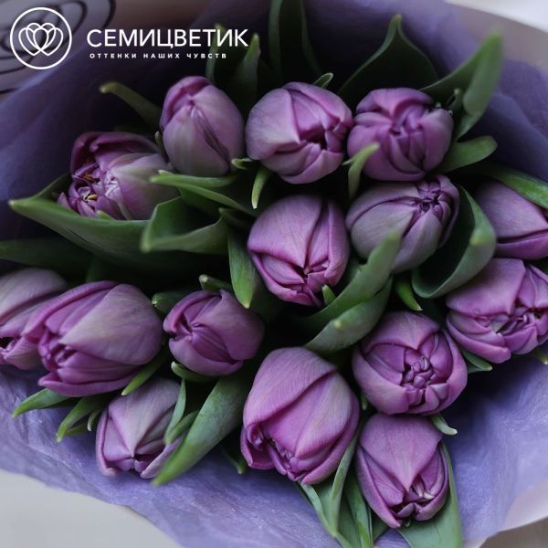 Букет из 15 сиреневых пионовидных тюльпанов