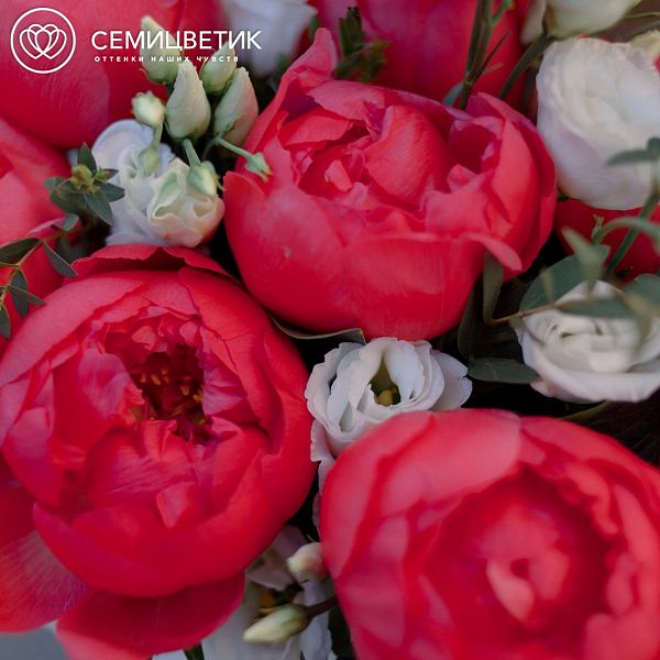 Деревянный ящик с 11 коралловыми пионами Coral Sunset Premium и лизиантусами