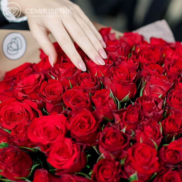 101 красная роза (Кения) 40 см Premium