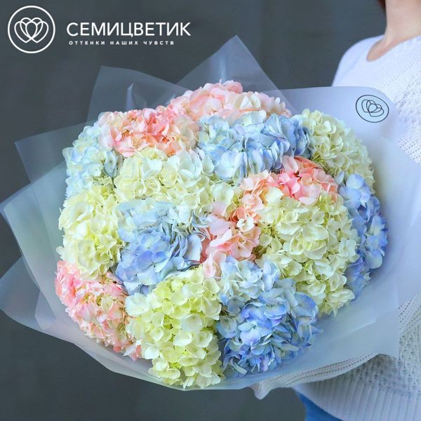 Букет из 15 гортензий нежный микс