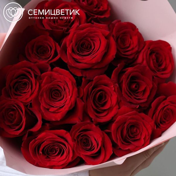 Букет из 15 красных роз Freedom 70 см (Эквадор) в розовой пленке