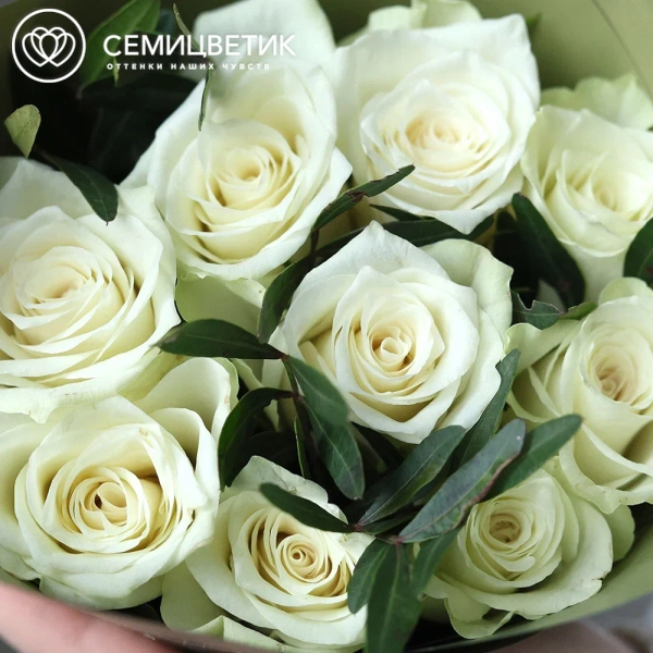 Букет из 9 белых роз 40 см (Кения) с фисташкой в оливковой упаковке