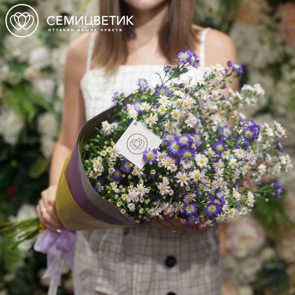 Букет из 15 кустовых астр микс