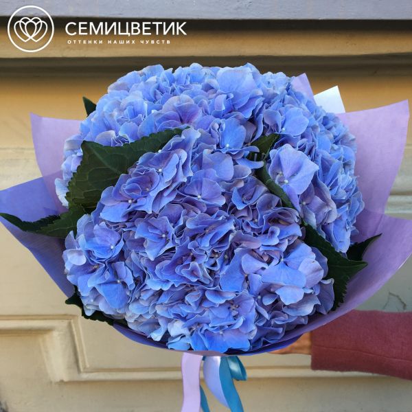 Букет из 3 синих гортензий