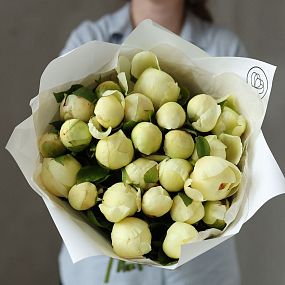 Букет из 25 лимонных пионов Lemon Chiffon Premium в белой пленке