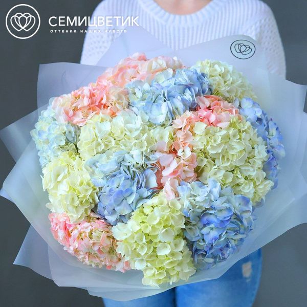 Букет из 15 гортензий нежный микс