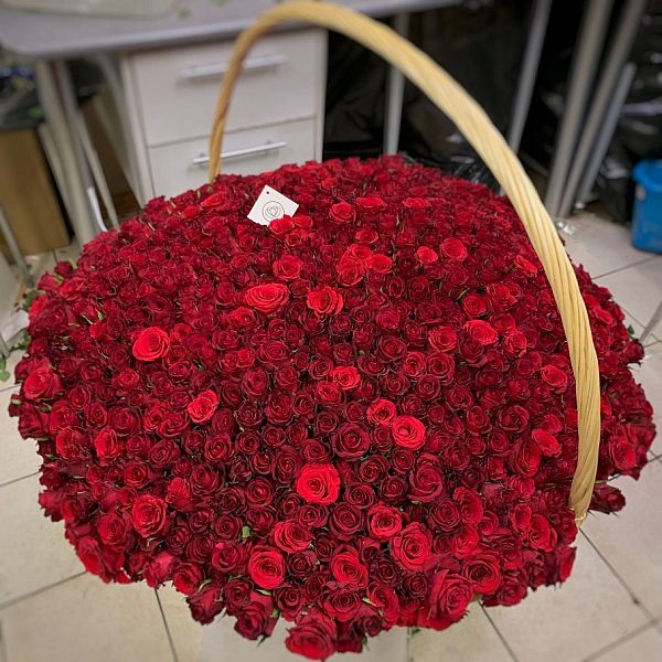 777 красных роз (Кения) Premium в корзине