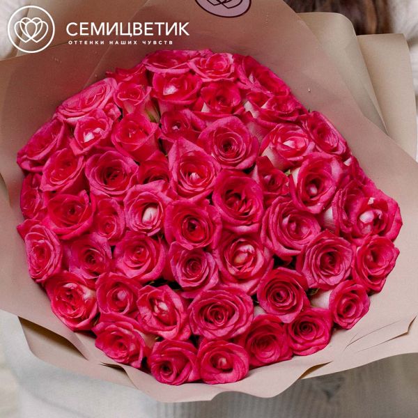 Букет из 51 малиновой биколор розы 35 см (Кения)