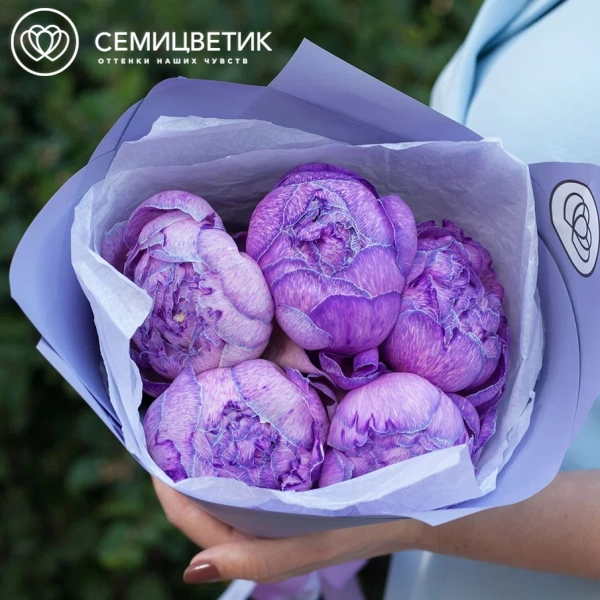 Букет из 5 фиолетовых пионов Premium