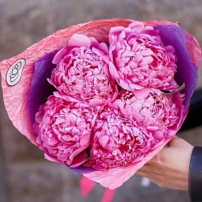 Букет из 5 ярко-розовых пионов Flemming Premium в розовой пленке