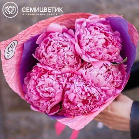 Букет из 5 ярко-розовых пионов Flemming Premium в розовой пленке