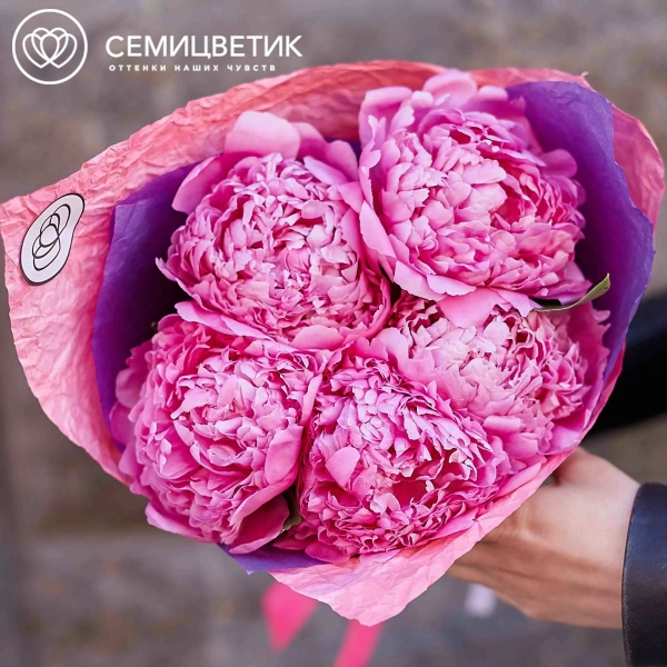 Букет из 5 ярко-розовых пионов Flemming Premium в розовой пленке