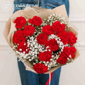 Букет из 15 красных гвоздик и 6 гипсофил в кремовой пленке