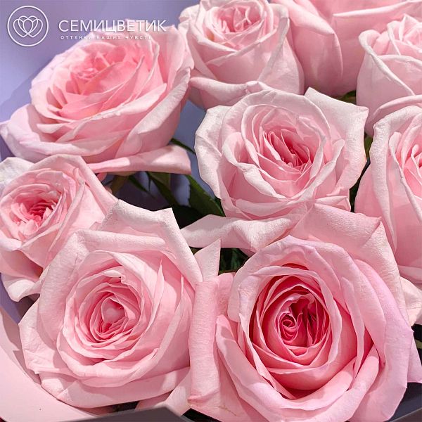 Букет из 9 розовых пионовидных роз Pink O'Hara 40 см в пленке в сиреневых тонах