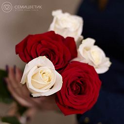 Букет из 5 красных и белых роз 50 см (Эквадор)