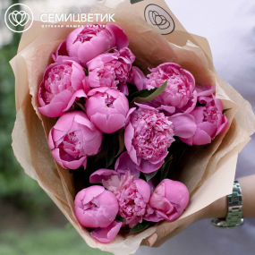 Букет из 11 ярко-розовых пионов Standart в кремовой пленке