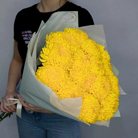 Букет из 15 одноголовых желтых хризантем