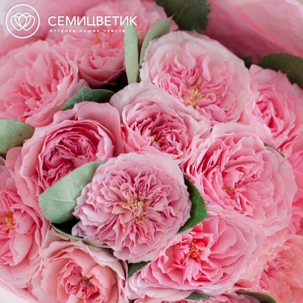 Букет из 15 розовых пионовидных роз Mayra's Pink 40 см